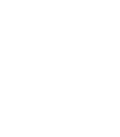 Un gran trazo hacia la innovaci n Elsa Ayala Flores 