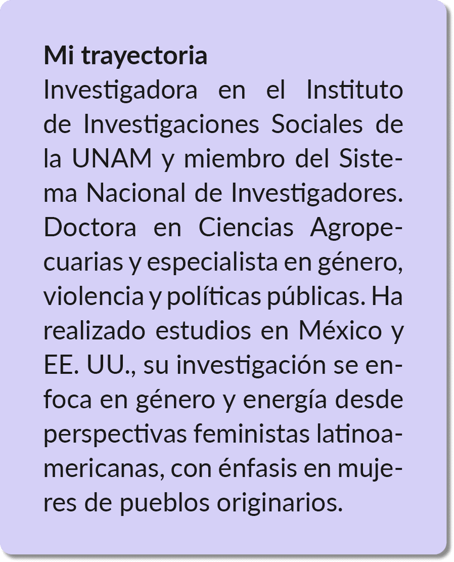 Mi trayectoria Investigadora en el Instituto de Investigaciones Sociales de la UNAM y miembro del Sistema Nacional de...