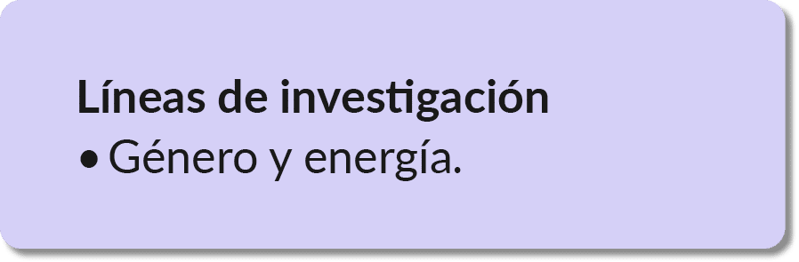 L neas de investigaci n • G nero y energ a.