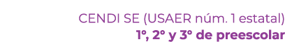 CENDI SE (USAER n m. 1 estatal) 1°, 2° y 3° de preescolar 