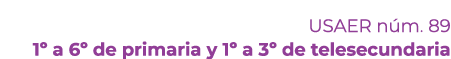 USAER n m. 89 1º a 6º de primaria y 1º a 3º de telesecundaria 