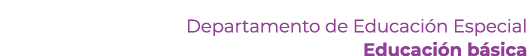 Departamento de Educaci n Especial Educaci n b sica 