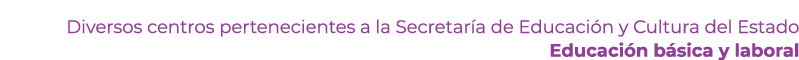 Diversos centros pertenecientes a la Secretar a de Educaci n y Cultura del Estado Educaci n b sica y laboral