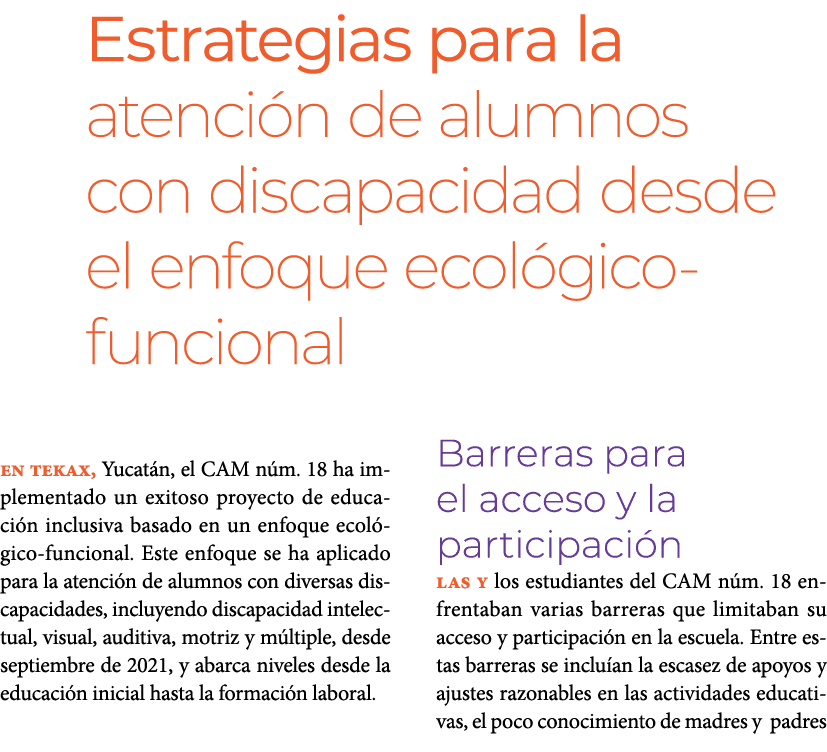 Estrategias para la atenci n de alumnos con discapacidad desde el enfoque ecol gico funcional En Tekax, Yucat n, el ...