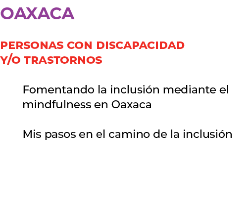 oaxaca Personas con discapacidad y/o trastornos Fomentando la inclusi n mediante el mindfulness en Oaxaca Mis pasos e...