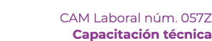 CAM Laboral n m. 057Z Capacitaci n t cnica 