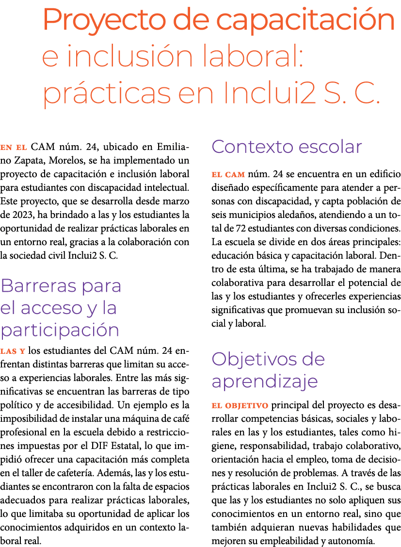 Proyecto de capacitaci n e inclusi n laboral: pr cticas en Inclui2 S. C. En el CAM n m. 24, ubicado en Emiliano Zapa...