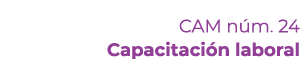 CAM n m. 24 Capacitaci n laboral
