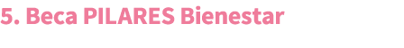 5. Beca PILARES Bienestar 